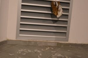 DSC_0017 DSC_0017