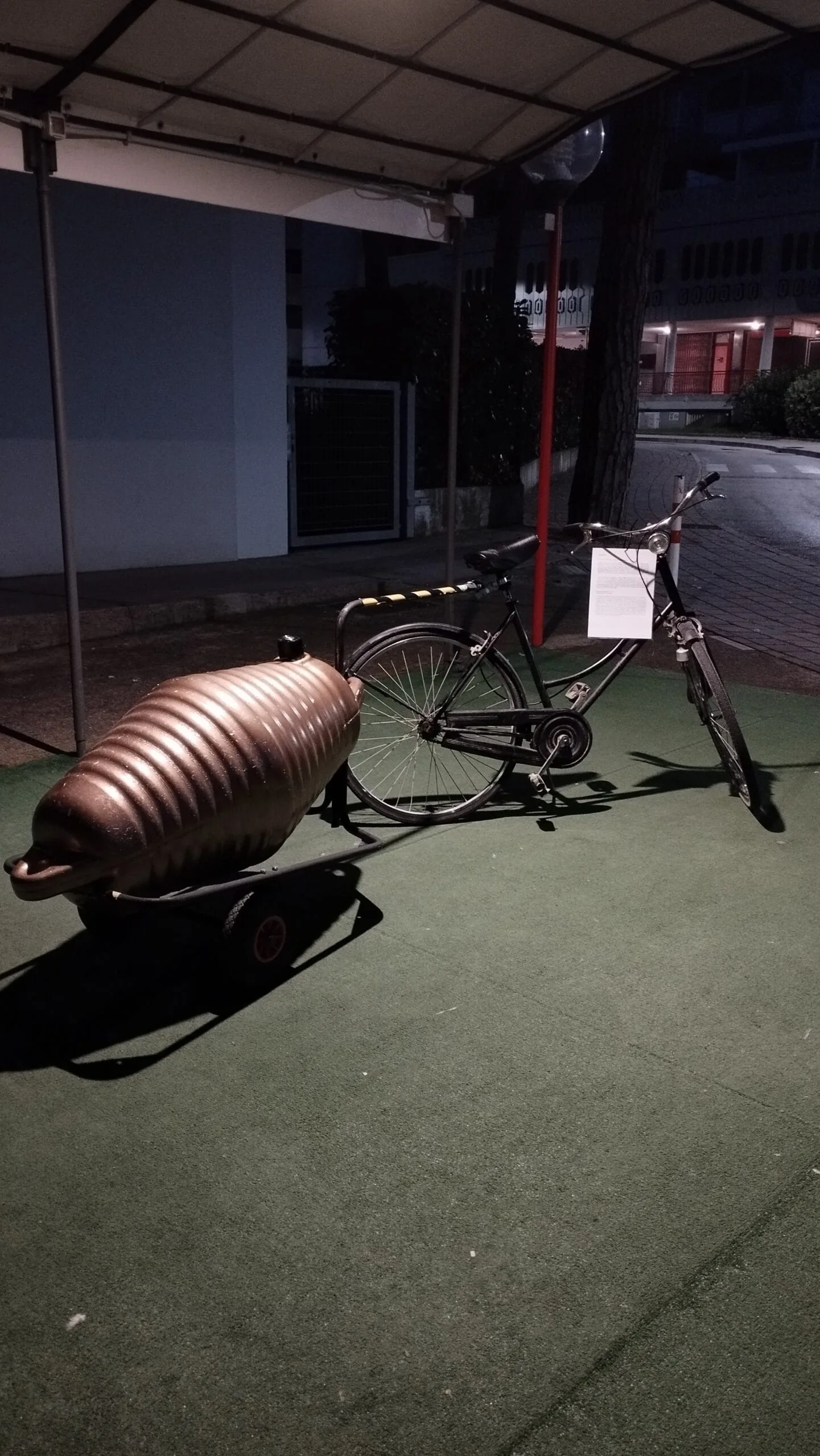 Foto 51