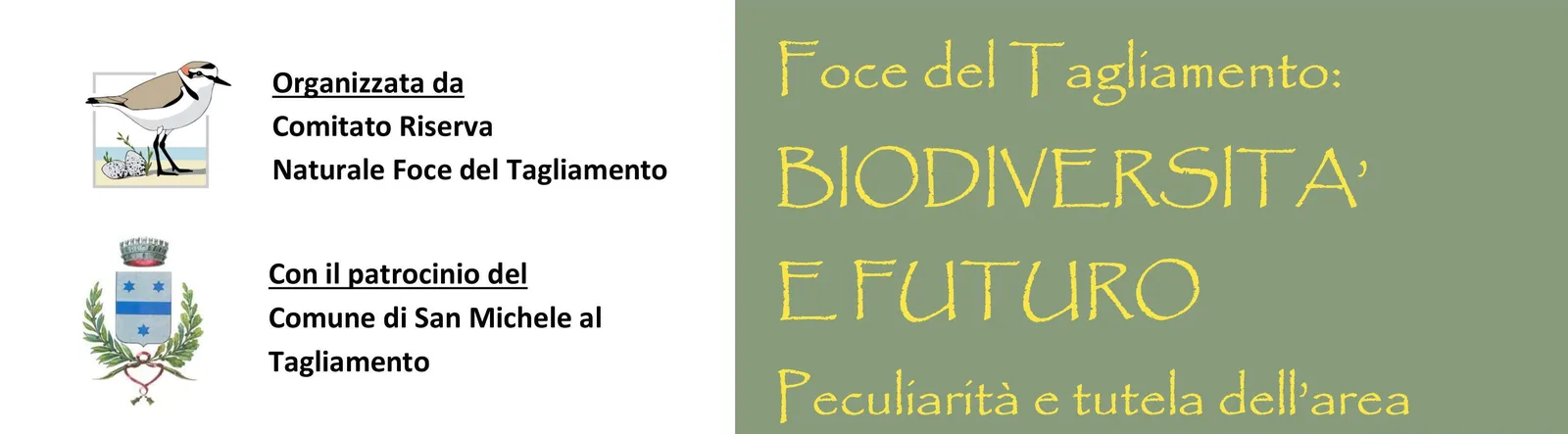 Riserva Naturale Foce del Tagliamento