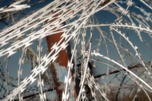 MCATTANI53_migrart_007 MCATTANI53_migrart_007